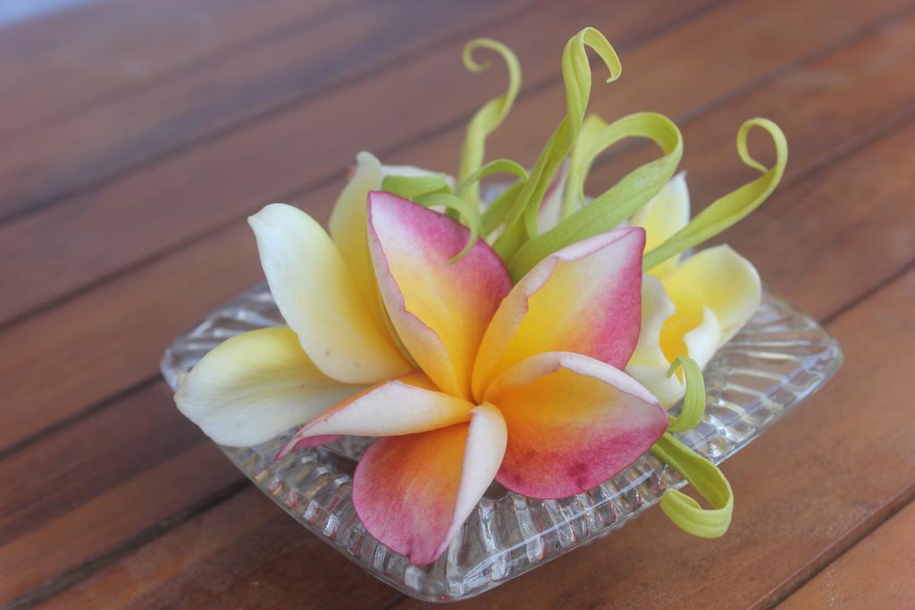 Donald Home Stay Ubud Dış mekan fotoğraf