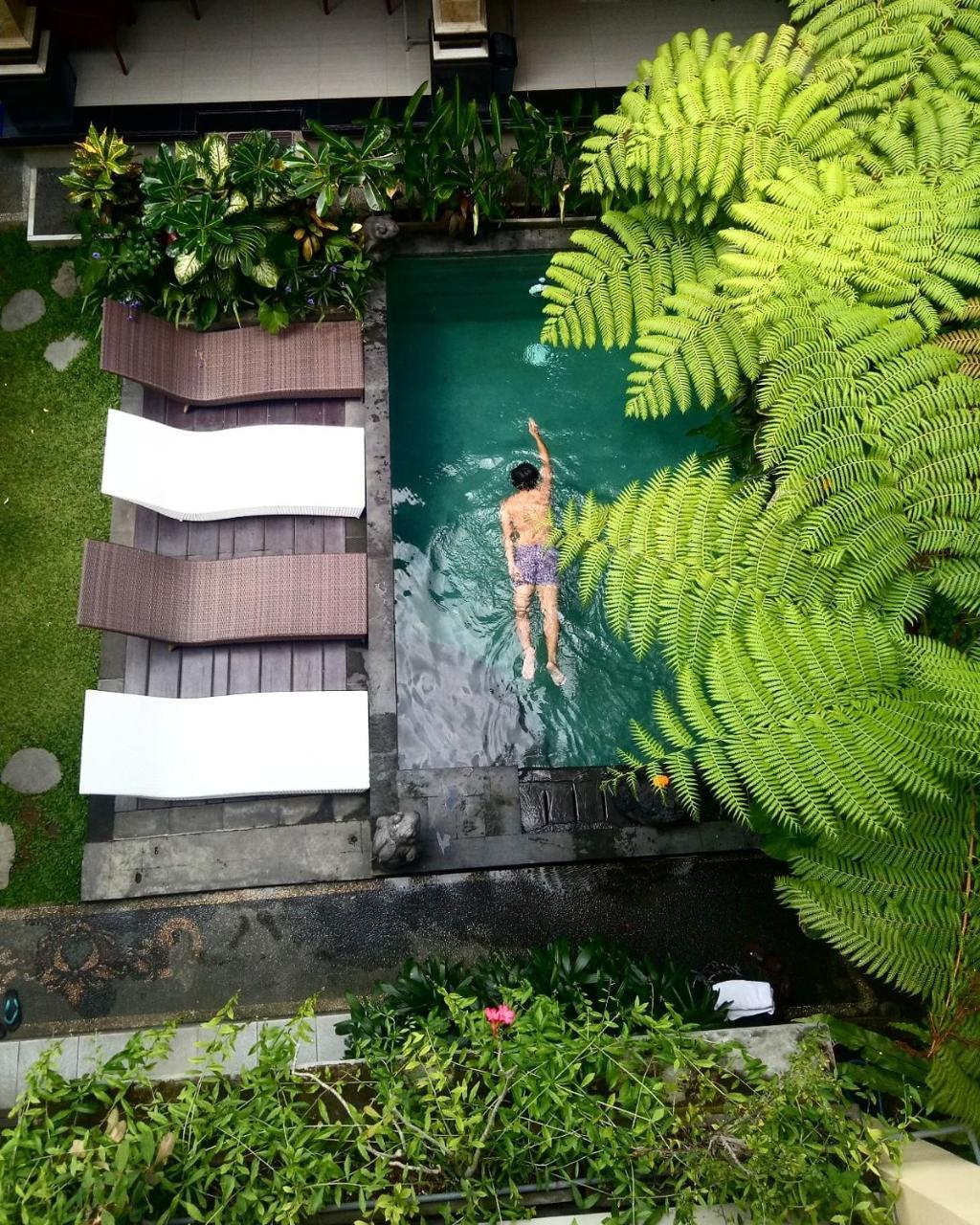 Donald Home Stay Ubud Dış mekan fotoğraf